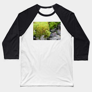 Lakes: moss and wall Baseball T-Shirt